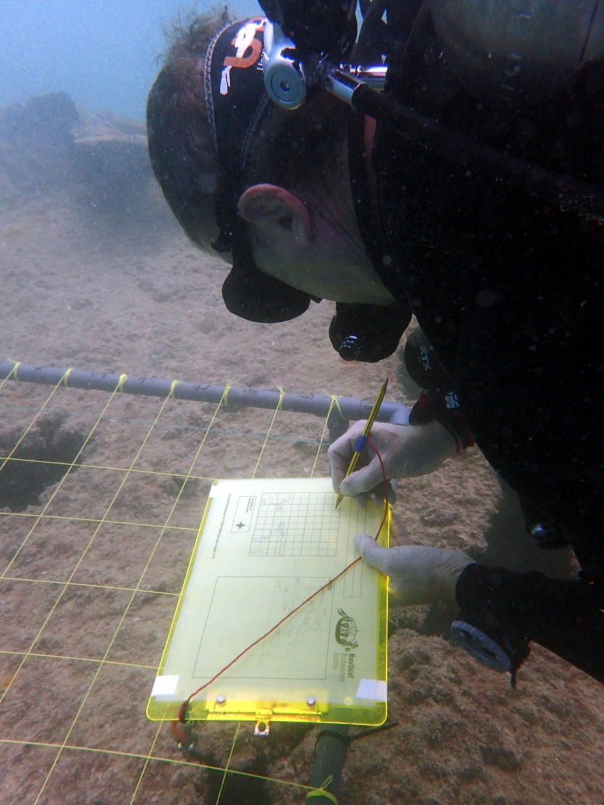 Underwater Recording  (photos - Dave Johnston)